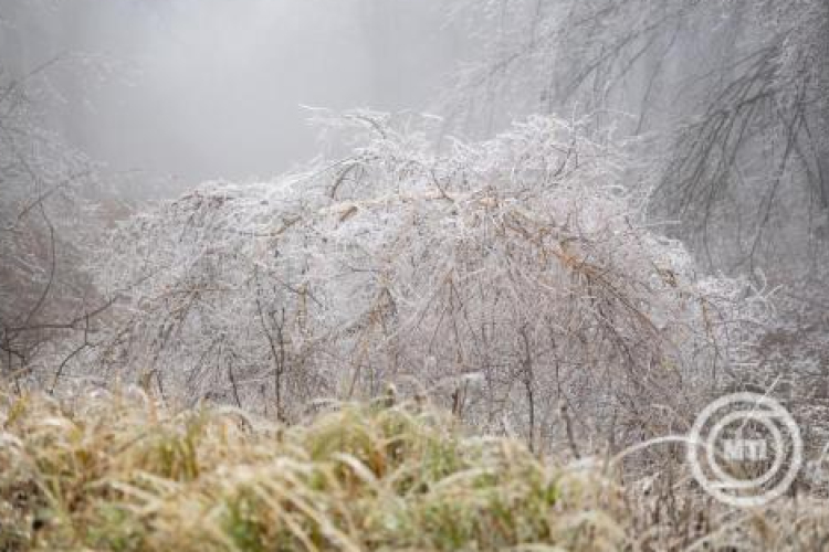 Folytatódik a csapadékos, de enyhe időjárás a jövő héten is